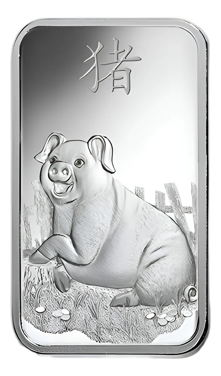 Robmar Suiza Lingote De 100 G Plata Pura Blister 24 K.el año del Cerdo