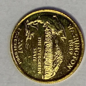 Robmar-USA-Quarter Bañado En Oro 24k-2007-Washington