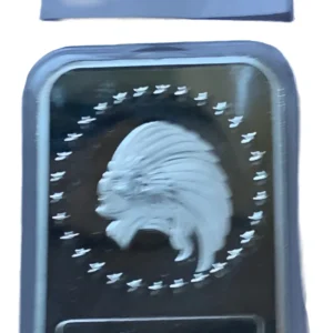 Robmar-USA-Lingote De 10g Plata Pura 24k-N°143-Cabeza De Cacique