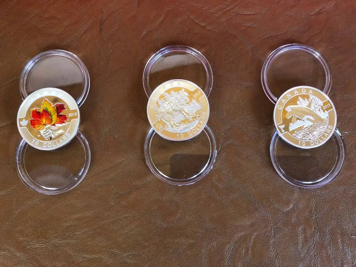 Robmar-Canadá-1/2 Onza Plata 0,9999-Proof-N°5-2014-Época Vacaciones - Imagen 7