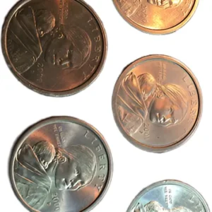 Robmar-USA-Lote De 5 Monedas De 1 Dólar Sacagawea-Al Azar