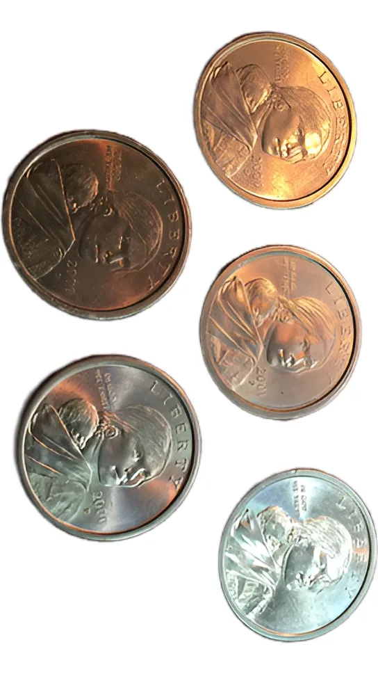 Robmar-USA-Lote De 5 Monedas De 1 Dólar Sacagawea-Al Azar