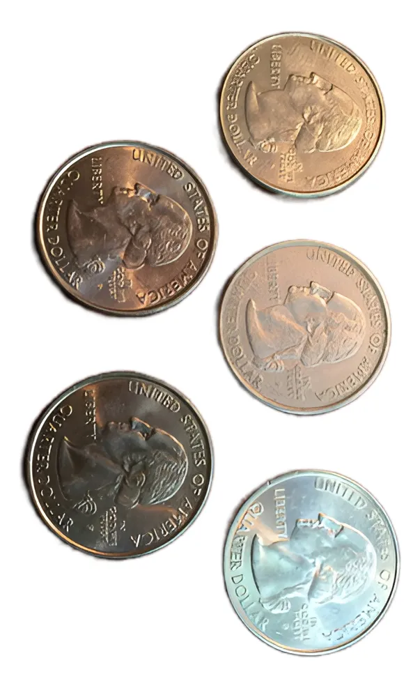 Robmar-USA-Lote De 5 Quarters (25 cents)-Al Azar Sus Años T Motivos - Imagen 2