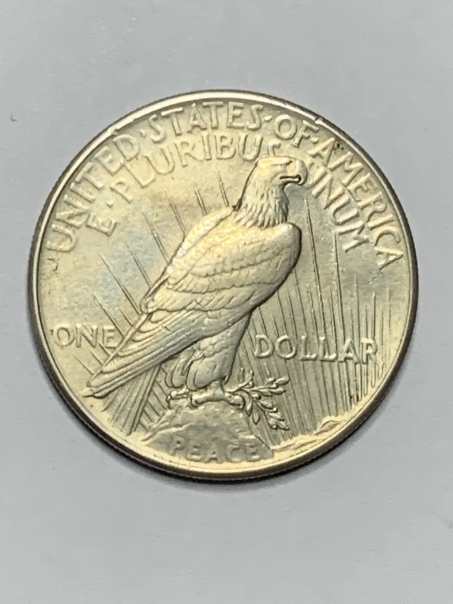 Robmar-USA-Peace Dólar-Plata 900 26,73g-1925-Nº 26-Con Cápsula Protectora - Imagen 2