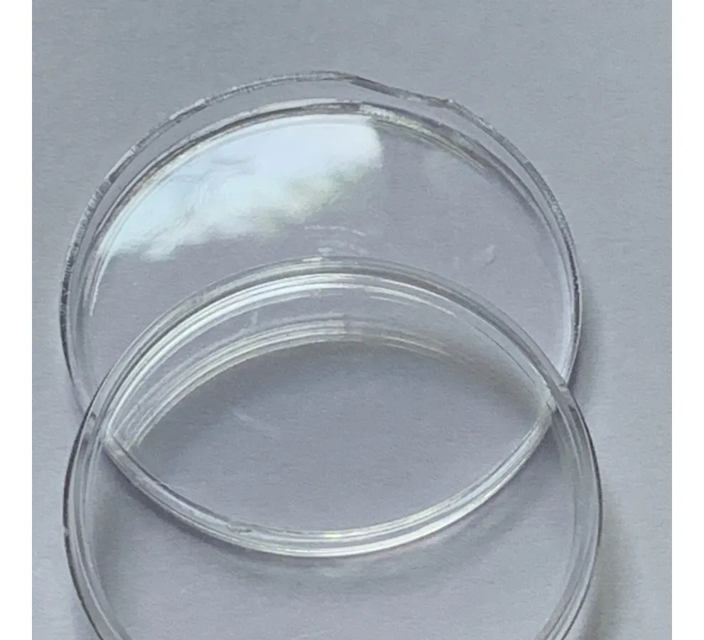 Robmar-USA-Quarter Bañado En Oro 24k-2012-N°13-Acadia - Imagen 3